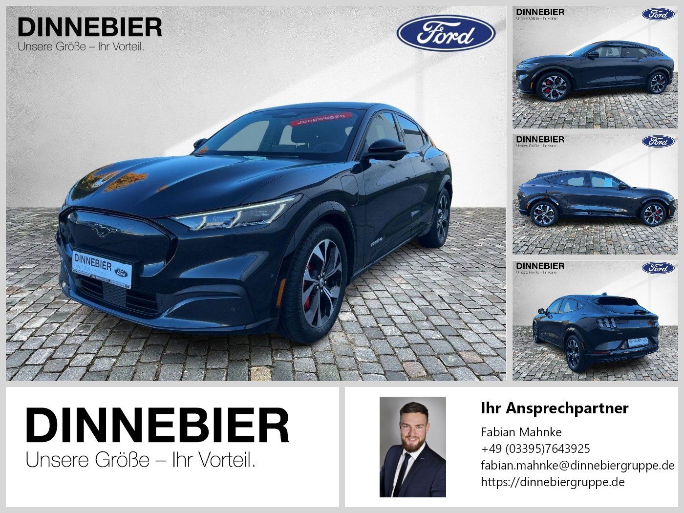Ford Mustang Mach-E AWD Glasdach+LED+360°Kamera