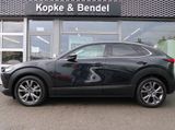 Mazda CX-30 Edition 100*Sondermodell mit Vollausstattu - Mazda: 10