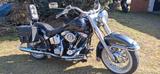 Harley-Davidson Harley Heritage Softail FLSTC | Motor revidiert  - HARLEY-DAVIDSON 1995 HERITAGE SOFTAIL