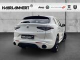 Alfa Romeo Stelvio Tributo Italiano Q4 2.0 HARMAN/KARDON+PD - Alfa Romeo Stelvio Tributo-Italiano