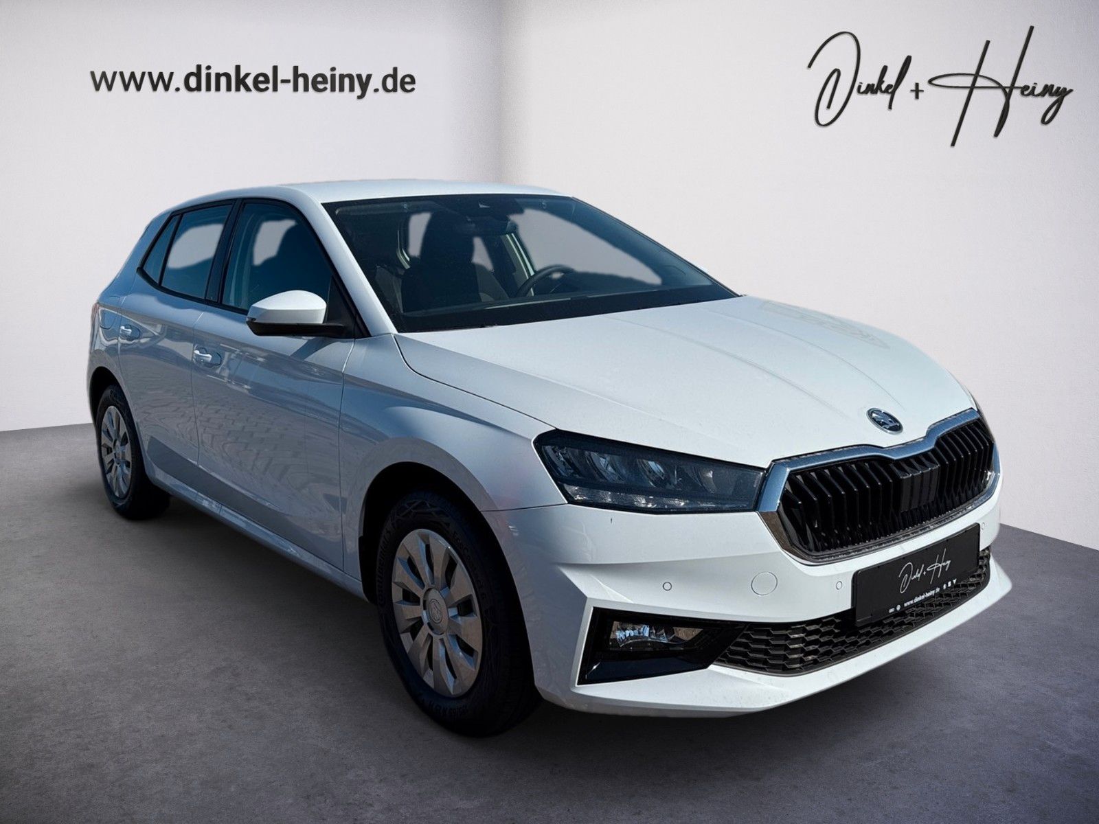 Fahrzeugabbildung SKODA Fabia Selection 1.0TSI