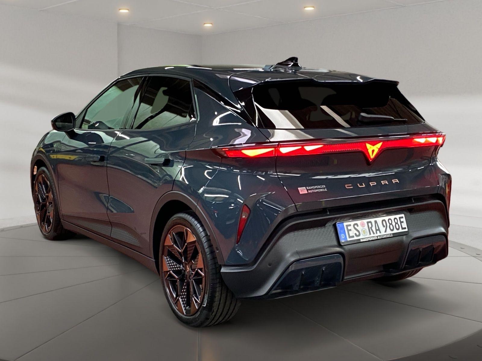 Cupra Raval Endurance 52 kWh LED/Assist/Kamera/DAB/uvm