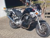 Yamaha BT 1100 Bulldog Service & Reifen & HU neu