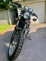 Triumph Bonneville T 100 - Angebote