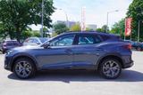 Cupra Formentor 1.5 eTSI DSG Matrix ACC Pano Navi - : Grau, mit Apple Carplay