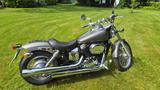 Honda VT 750 DC Black Widow