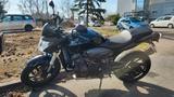 Honda Hornet 600 Werkstatt gepflegt! - HONDA 2010 HORNET 600