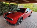 Dodge Challenger Scatpack SRT 6,4L V8 - Dodge Challenger: V6