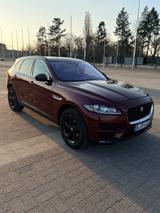 Jaguar F-Pace 20d AWD Pure Automatik Pure