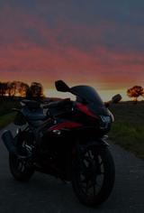 Suzuki GSX-R 125 - SUZUKI GSX R 125