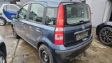 Fiat Panda 1.1 8V Active el.Fensterheber Allwetter - Fiat Panda aus 2005