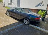 Audi A5 1.8 TFSI Cabriolet  S - Line 8- fach bereift - Audi A5: 8f