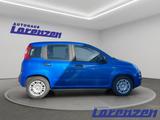 Fiat Panda 1.0 70PS Klima PDC DAB Spurhalteass. Verke - Fiat Panda aus 2025