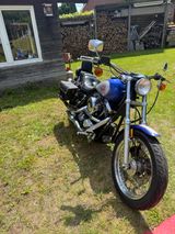 Harley-Davidson FXR Original 31942km TÜV neu - HARLEY-DAVIDSON FXR