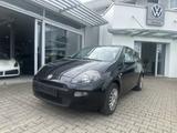 Fiat Punto My Life 1.2 TÜV-NEU - Fiat Punto Gebrauchtwagen in Stuttgart
