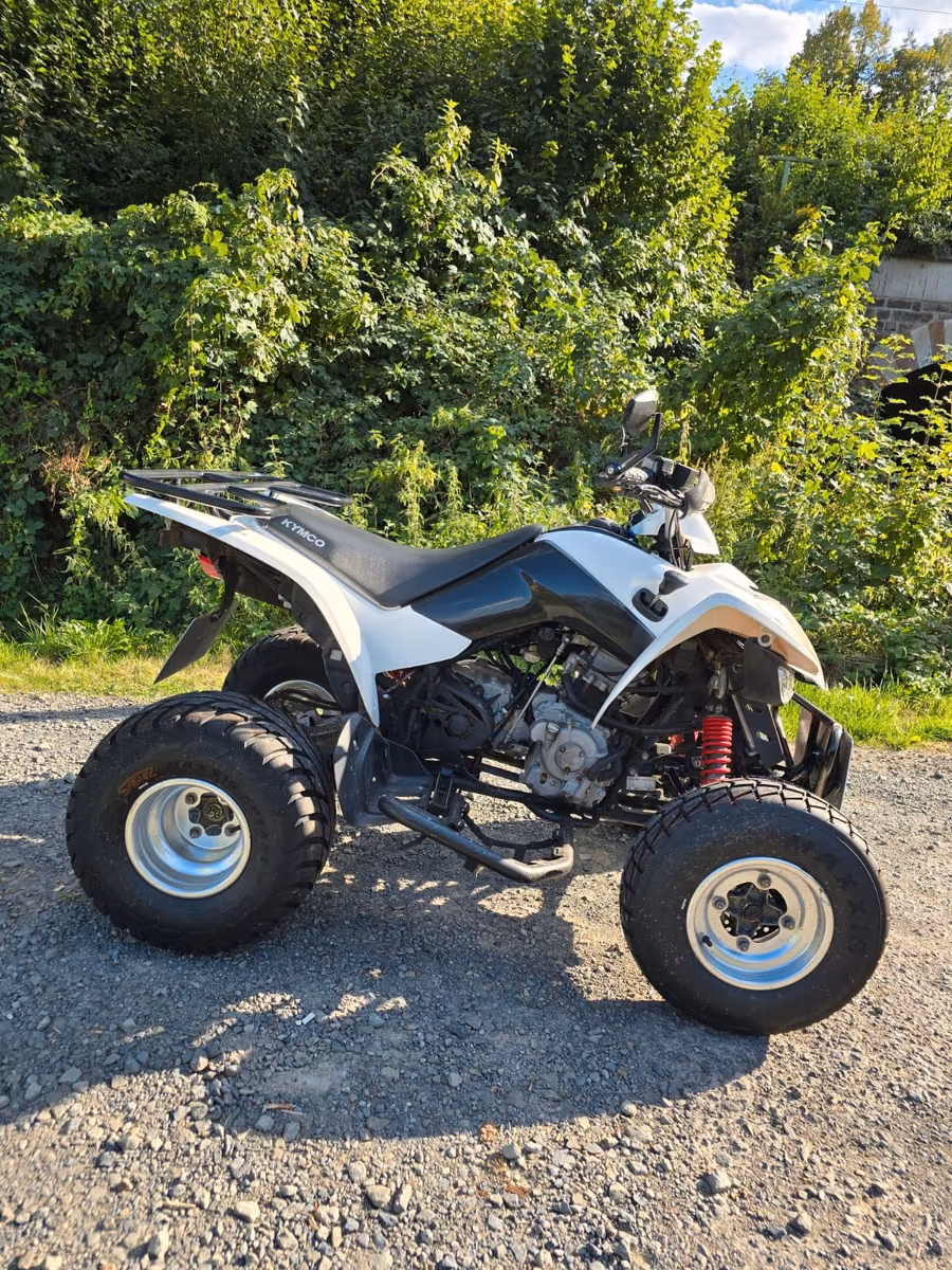 Kymco  2009 — rear view