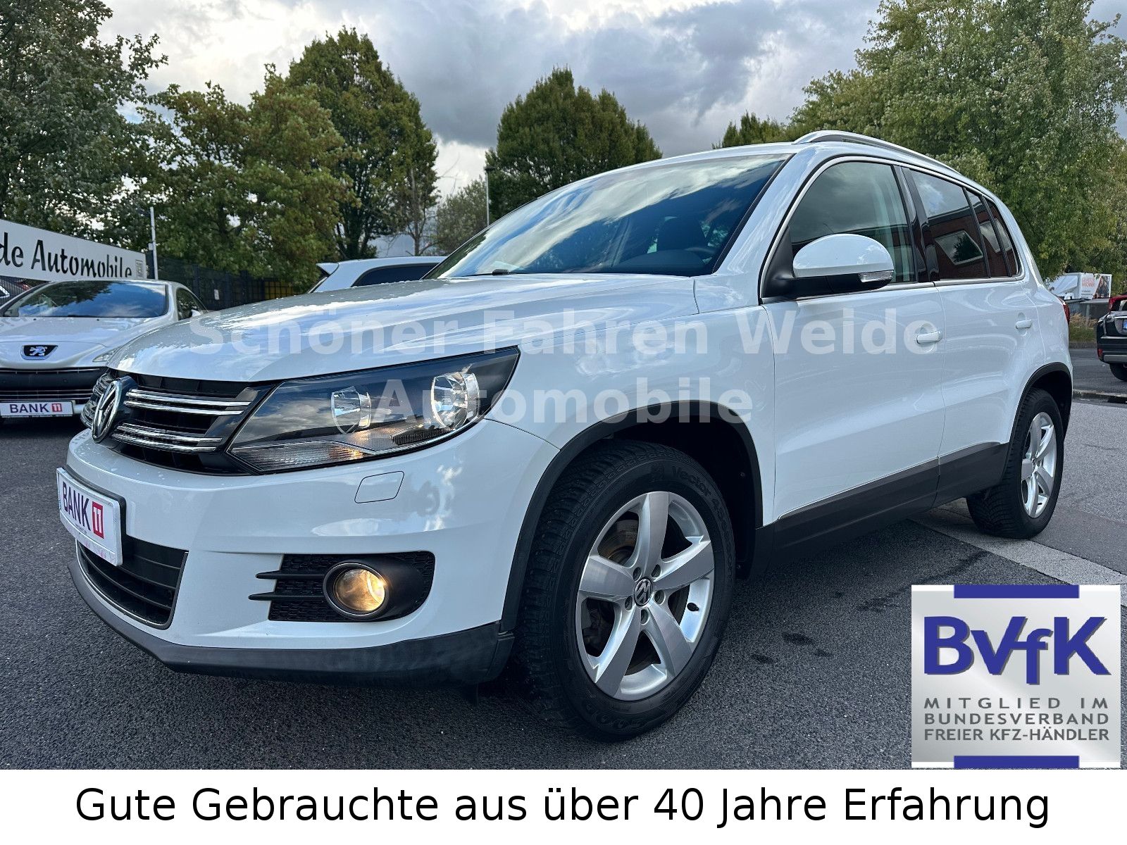 Volkswagen Tiguan - 1