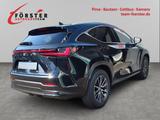 Lexus NX 450 450h+ (PHEV) E-FOUR Business *LEDER*AH - Lexus Gebrauchtwagen in Dresden