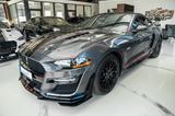 Ford Mustang GT 5,0GT 500 SHELBY LCD PERFORMANCE
