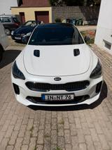 Kia Stinger 3.3 T-GDI AWD GT GT - weiße Kia Stinger