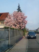 Mercedes-Benz R 320 CDI 4MATIC -