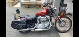 Harley-Davidson Sportster 883 Custom - HARLEY-DAVIDSON 883 CUSTOM