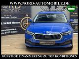 Skoda Octavia Combi Ambition 2.0 TDI DSG AHK/Kamera/ - Skoda Octavia: Kleinwagen