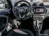 Smart ForFour 52kW LAST ONE Navi Kamera Red Line - Smart: La