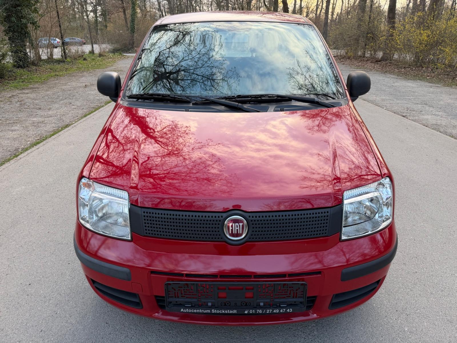 Fiat Panda 1.2 8V MyLive Klima TÜV/AU Neu