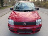 Fiat Panda 1.2 8V MyLive Klima TÜV/AU Neu - Fiat Panda aus 2011: Allradantrieb