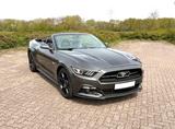 Ford Mustang 5.0 Ti-VCT V8 GT Cabrio 50 Jahre Edition - gebrauchte Ford Mustang aus dem Jahr 2015