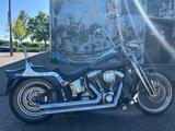 Harley-Davidson Springer Softail FXSTSI  - HARLEY-DAVIDSON FXSTS