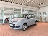 Fiat Panda Easy 1.2 Klima PDC AHK - gebrauchte Fiat Panda aus dem Jahr 2020