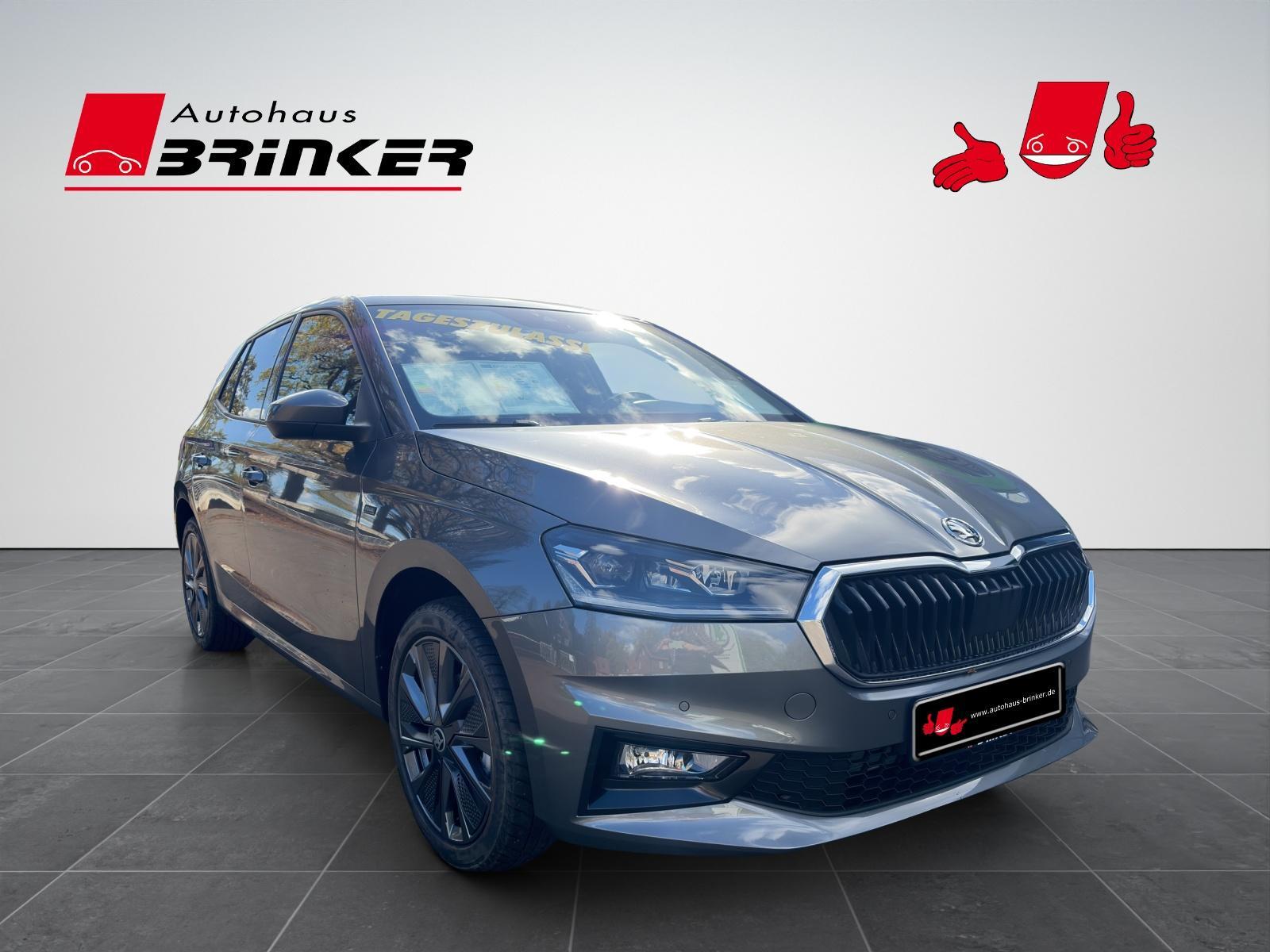 Skoda Fabia Tour 1.0 TSI DSG -Winter-Navi-Kamera