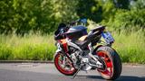 Aprilia Tuono 660 | 1. Hand | Kurven-ABS | frischer TÜV - APRILIA NAKED BIKE