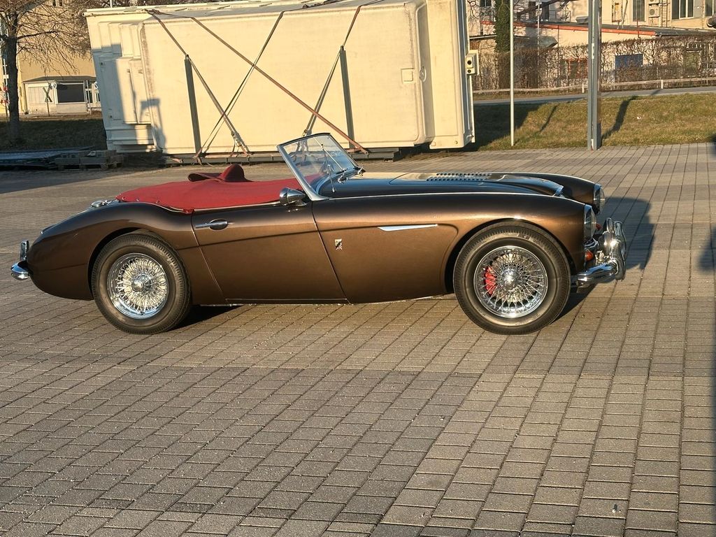 Austin Healey Andere