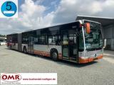 Mercedes-Benz O 530 G Citaro/Euro 5/A 23/20x vorhanden - Mercedes-Benz Diesel Gelenkbus Citaro g