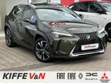 Lexus UX 250h Luxury Line GSD KLIMASITZE 360° HUD ACC - Lexus UX: Automatik