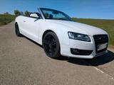 Audi A5 Cabrio 2.0 TFSI - Audi A5 aus 2009: Cabrio