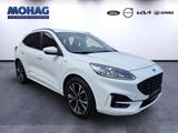 Ford Kuga 1.5 EcoBoost EU6d ST-Line X - Ford Kuga: 1.6