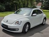 Volkswagen Beetle 1.6 TDI - Zahnriemen, Reifen, Service neu - Volkswagen Beetle in Leipzig