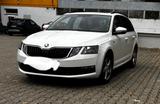 Skoda Octavia 1.6 TDI SCR DSG SOLEIL Combi SOLEIL - Skoda Octavia mit Diesel-Antrieb: 1.6