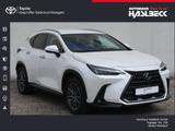 Lexus NX 450h+ E-FOUR Business - weiße Lexus NX-Serie