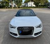 Audi S5 3.0 TFSI S tronic quattro Cabriolet - - Audi S5 in Duisburg