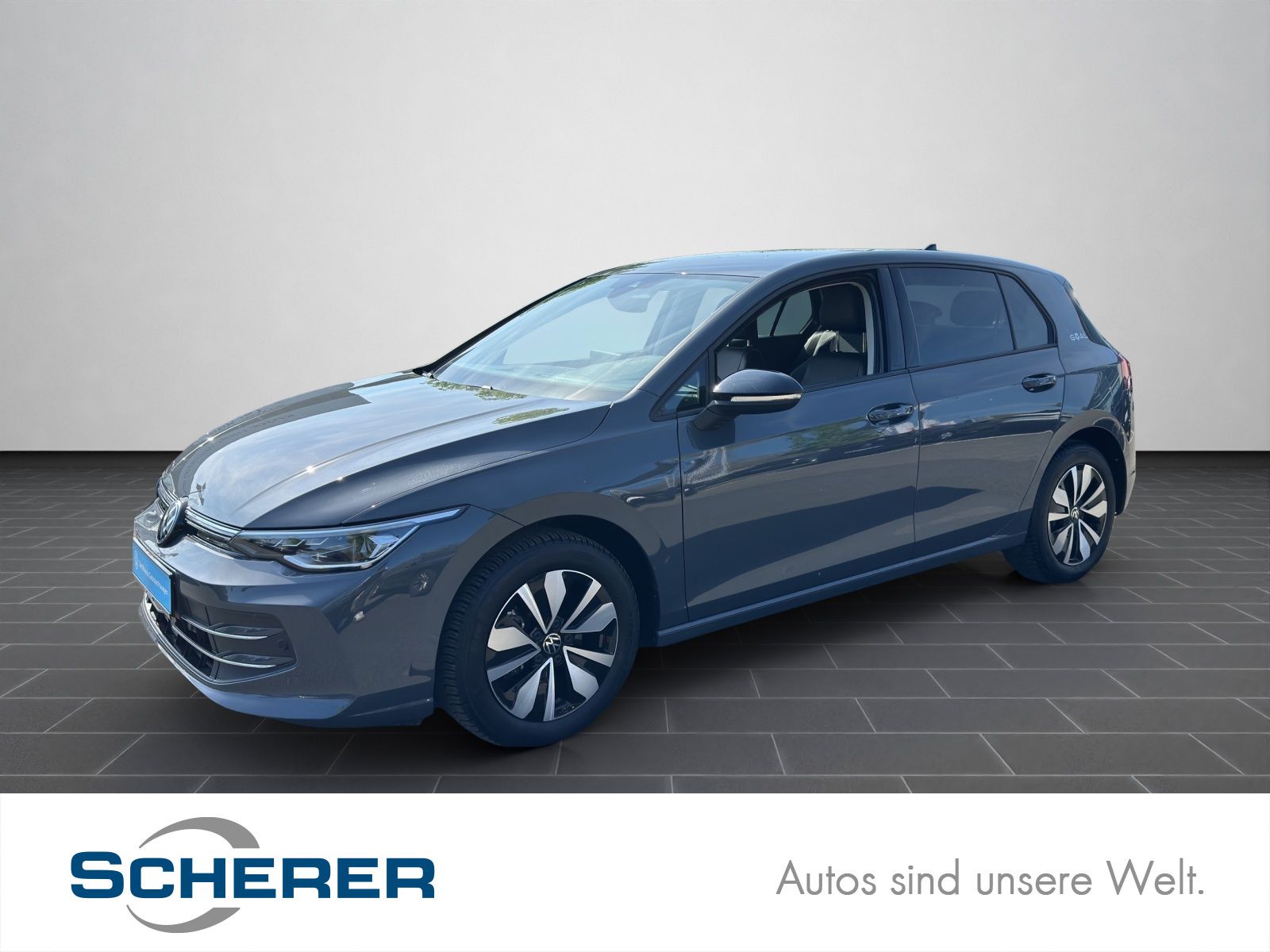 Volkswagen Golf VIII Goal 2.0 TDI DSG LED+ NAVI AHK RFK