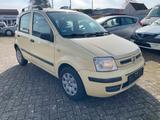 Fiat Panda - Fiat Panda Gebrauchtwagen in Bremen