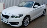 BMW 218i Cabrio Advantage - BMW 2er Reihe in Duisburg