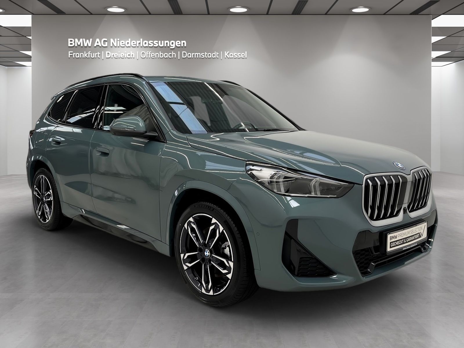 BMW X1 xDrive30e M Sport AHK Driv.Assist.Prof LED foto 3