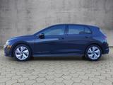 Volkswagen Golf VIII GTD 2.0 TDI DSG BusinessPrem./BlackSty - mit Diesel-Antrieb: Ambiente-Beleuchtung, mit Klimaanlage