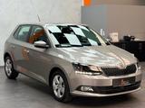 Skoda Fabia Style 1.0 TSI Metallic|KLIMA|SHZG|TEMP|PDC - Skoda Fabia in Bonn